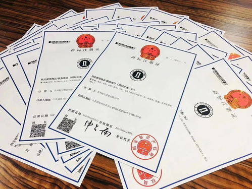 商標(biāo)注冊 商標(biāo)設(shè)計 商標(biāo)咨詢 全國一條龍代辦